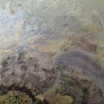 Emotional Fog
     16".24"